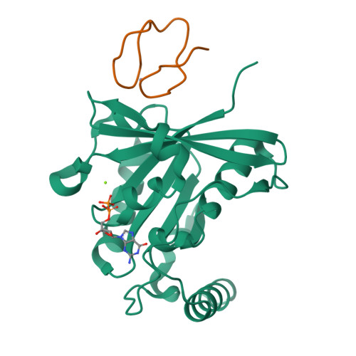 Rcsb Pdb Gj Crystal Structure Of Human Rangdp Nup Znf Complex