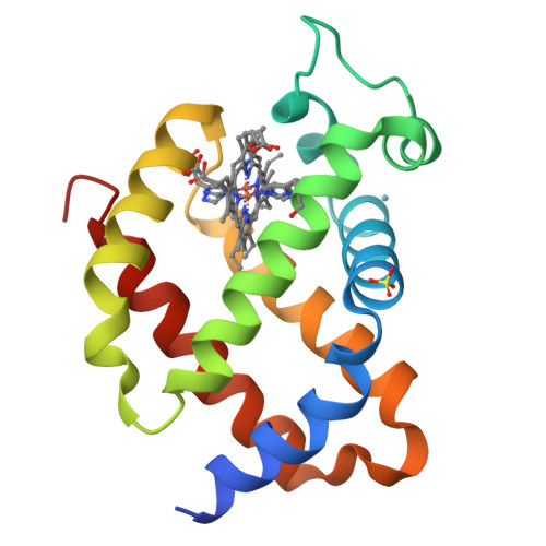 RCSB PDB 3GKT Crystal Structure Of Murine Neuroglobin Under Kr Pressure