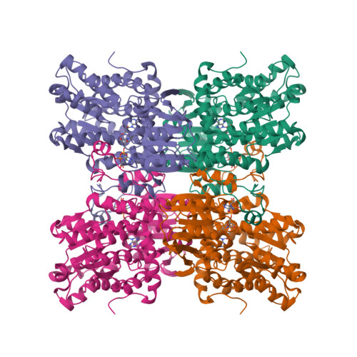 RCSB PDB 3GLQ Crystal Structure Of S Adenosyl L Homocysteine