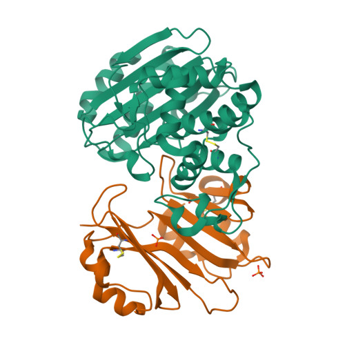 RCSB PDB 3GMW Crystal Structure Of Beta Lactamse Inhibitory Protein