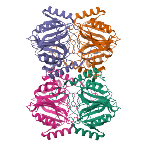 RCSB PDB 3HPY Crystal Structure Analysis Of The 2 3 Dioxygenase LapB