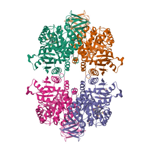 RCSB PDB 3IS4 Crystal Structure Of Leishmania Mexicana Pyruvate