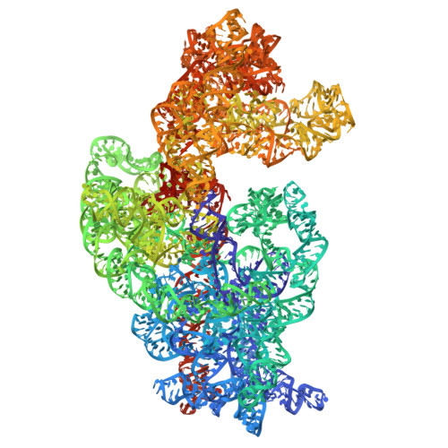 Rcsb Pdb J Dissecting The In Vivo Assembly Of The S Ribosomal