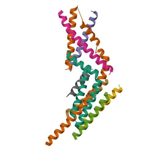 Rcsb Pdb J Formation Of An Intricate Helical Bundle Dictates The