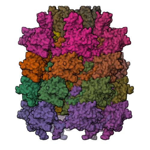 RCSB PDB 3J9Q Atomic Structures Of A Bactericidal Contractile