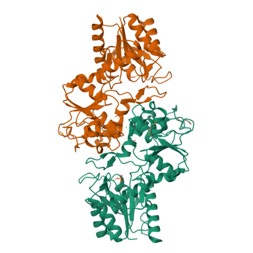 RCSB PDB 3KC2 Crystal Structure Of Mitochondrial HAD Like