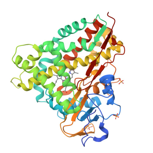 Rcsb Pdb Lxh Crystal Structure Of Cytochrome P Cyp D