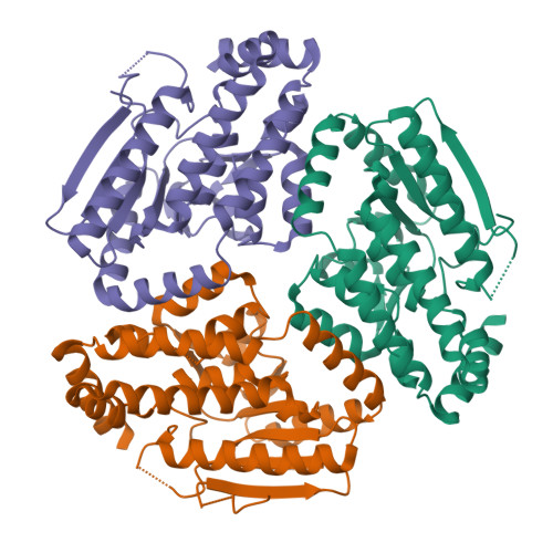 RCSB PDB 3M6N Crystal Structure Of RpfF