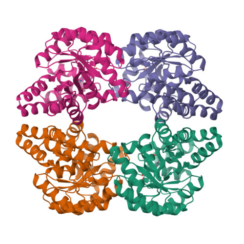 RCSB PDB 3N2X Crystal Structure Of YagE A Prophage Protein