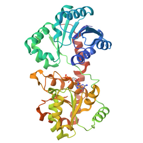 RCSB PDB 3OKP Crystal Structure Of Corynebacterium Glutamicum PimB