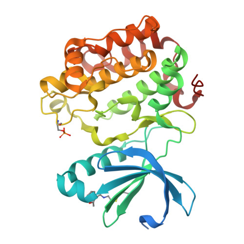 RCSB PDB 3ORX PDK1 Mutant Bound To Allosteric Disulfide Fragment