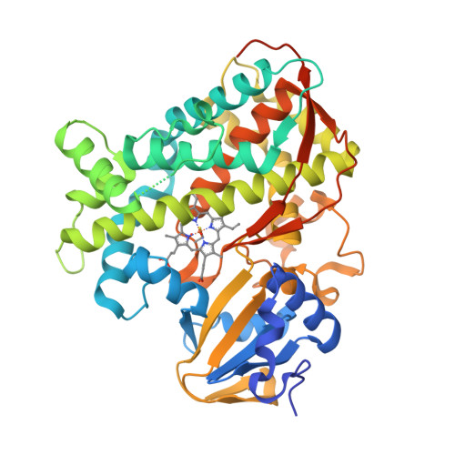 Rcsb Pdb Psx Crystal Structure Of The Kt Mutant Of Cytochrome P Bm