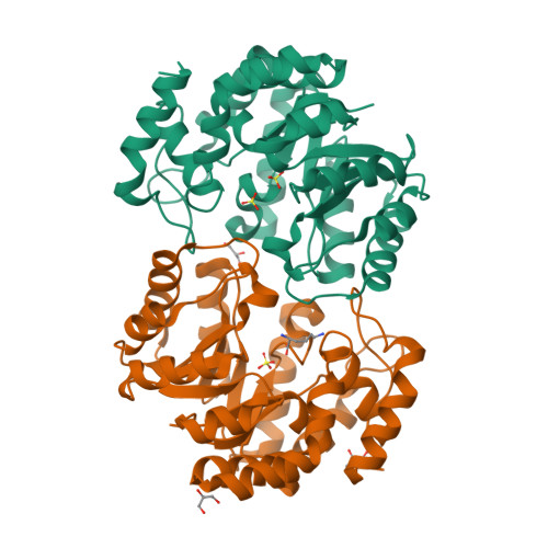 Rcsb Pdb Pue Crystal Structure Of The Complex Of Dhydrodipicolinate