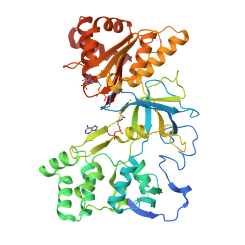 Rcsb Pdb Qfs Crystal Structure Of Nadph Cytochrome P Reductase