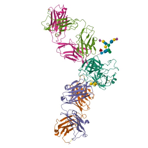 RCSB PDB 3QUM Crystal Structure Of Human Prostate Specific Antigen