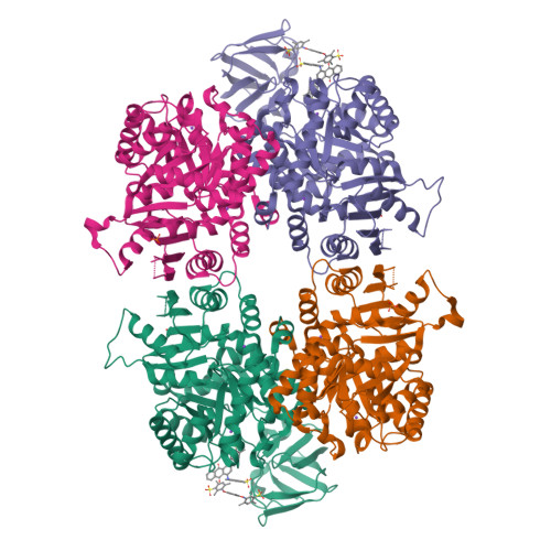 Rcsb Pdb Qv Crystal Structure Of Leishmania Mexicana Pyruvate