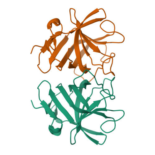 Rcsb Pdb Rkc Hepatitis E Virus Capsid Protein E S Domain Genotype Iv