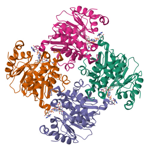 Rcsb Pdb Rq Crystal Structure Of Adp Atp Dependent Nad P H Hydrate