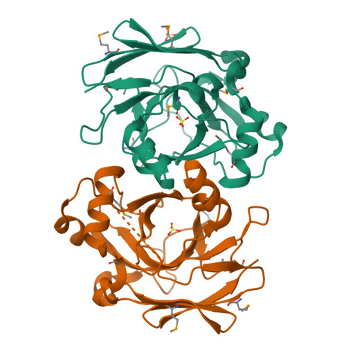 Rcsb Pdb S Crystal Structure Of A Putative Fumarylacetoacetate