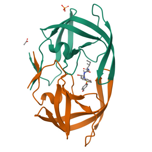 Rcsb Pdb Sa Crystal Structure Of Wild Type Hiv Protease In