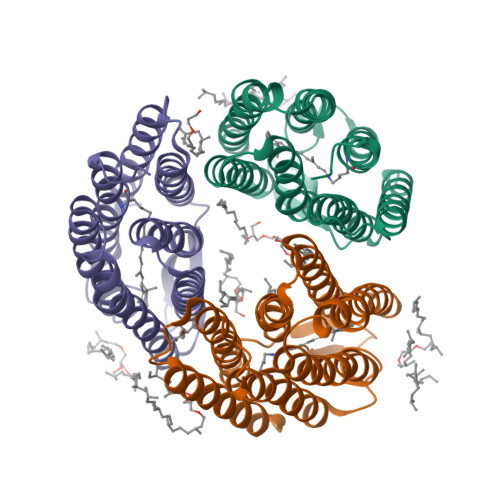 Rcsb Pdb T Crystal Structure Of Bacteriorhodopsin Mutant A T A