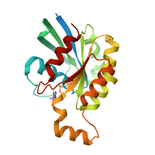 Rcsb Pdb Th Crystal Structure Of Wild Type Rac