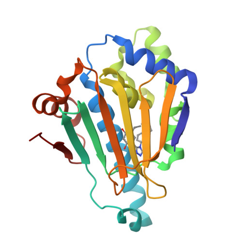 RCSB PDB 3TUH Crystal Structure Of The N Terminal Domain Of An HSP90