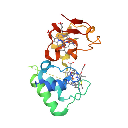 RCSB PDB 3U99 The Experimental X Ray Structure Of The New Diheme