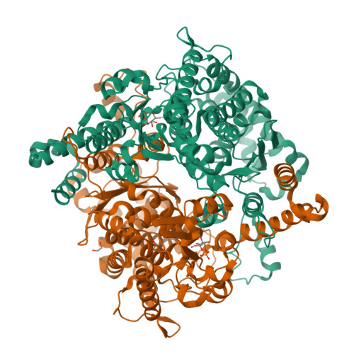 Rcsb Pdb Ujh Crystal Structure Of Substrate Bound Glucose