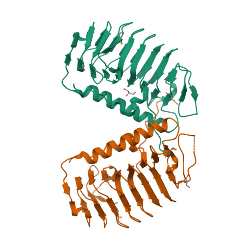 Rcsb Pdb Uyu Structural Basis For The Antifreeze Activity Of An Ice