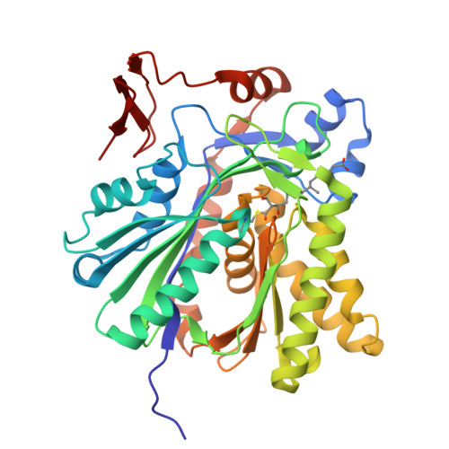 RCSB PDB 3V4X The Biochemical And Structural Basis For Inhibition Of