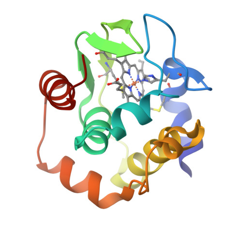 Rcsb Pdb Vnw Crystal Structure Of Cytochrome C From Thermus