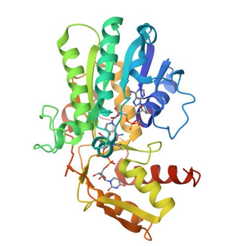 Rcsb Pdb Vps Structure Of A Novel Nad Dependent Ndp Hexosamine