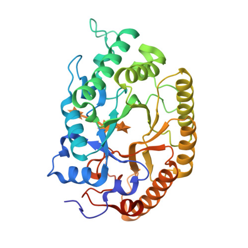 RCSB PDB 3W29 The High Resolution Crystal Structure Of TsXylA