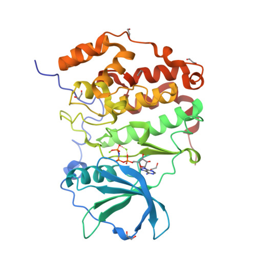 Rcsb Pdb Wow Crystal Structure Of Human Ck A With Amppnp