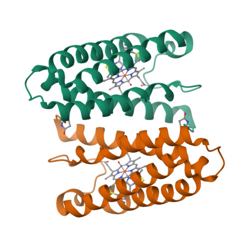 Rcsb Pdb Ztz Cytochrome C Prime From Alcaligenes Xylosoxidans