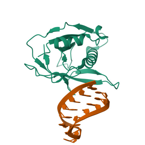 RCSB PDB 4AL7 Crystal Structure Of The Csy4 Minimal CrRNA Complex