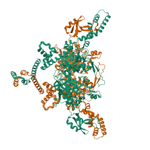 RCSB PDB 4ASI Crystal Structure Of Human ACACA C Terminal Domain