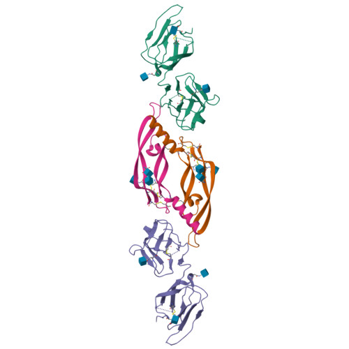 Rcsb Pdb Bsk Crystal Structure Of Vegf C In Complex With Vegfr