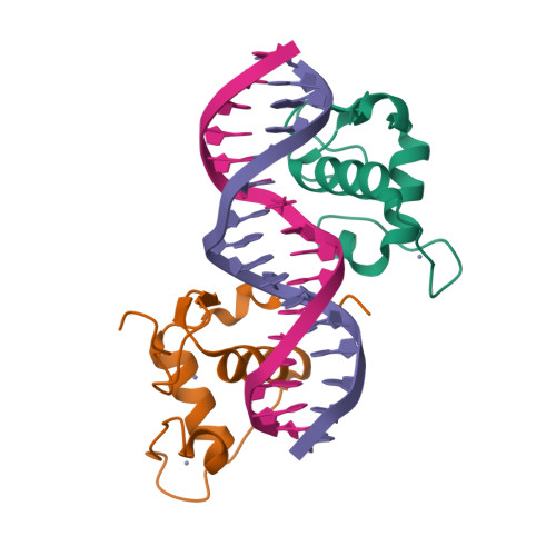 RCSB PDB 4CN7 Crystal Structure Of The Human Retinoid X Receptor DNA