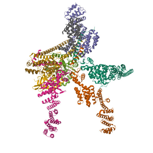 RCSB PDB 4D18 Crystal Structure Of The COP9 Signalosome