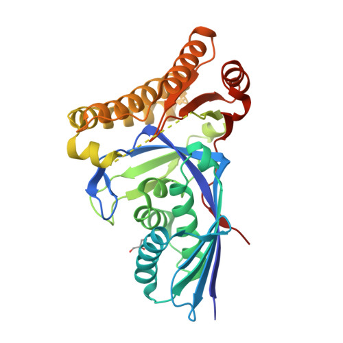 Rcsb Pdb Dpt Crystal Structure Of Staphylococcus Epidermidis