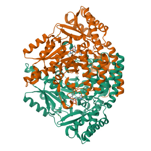 Rcsb Pdb E O Human Histidine Decarboxylase Complex With Histidine