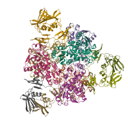 RCSB PDB 4E2F Crystal Structure Of E Coli Aspartate