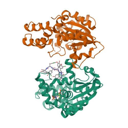 RCSB PDB 4EEC Crystal Structure Of The Glycopeptide Antibiotic