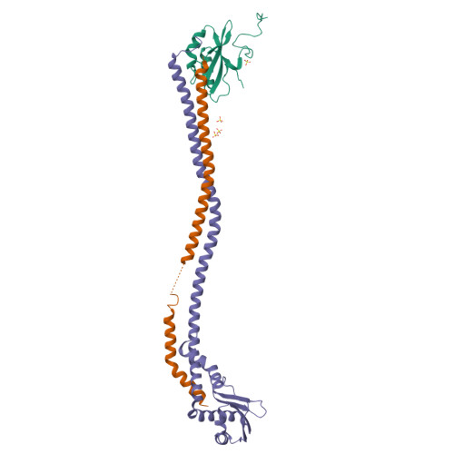 Rcsb Pdb Efa Crystal Structure Of The Heterotrimeric Egchead