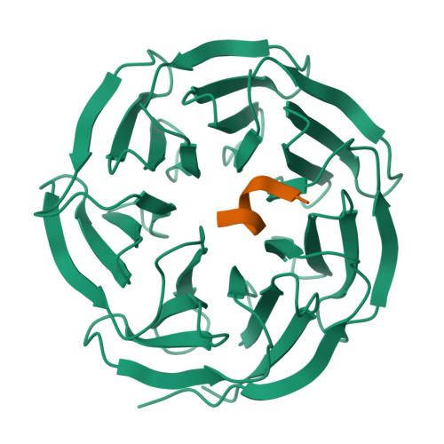 RCSB PDB 4ES0 X Ray Structure Of WDR5 SETd1b Win Motif Peptide