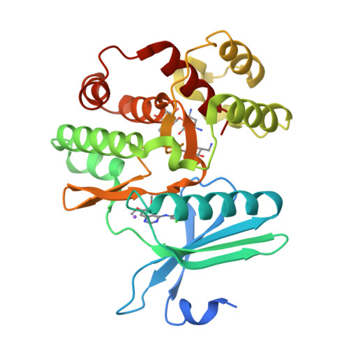 Rcsb Pdb Fex Crystal Structure Of The Aminoglycoside