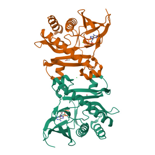 RCSB PDB 4FGR X Ray Structure Of SAICAR Synthetase PurC From