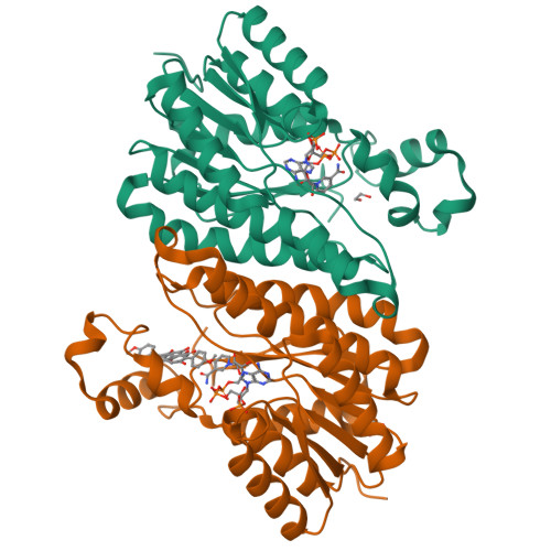 RCSB PDB 4FJ2 Crystal Structure Of The Ternary Complex Between A